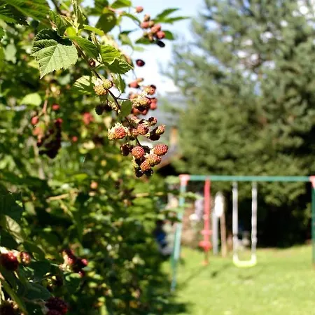 Pan Haus 3* باد اسشي