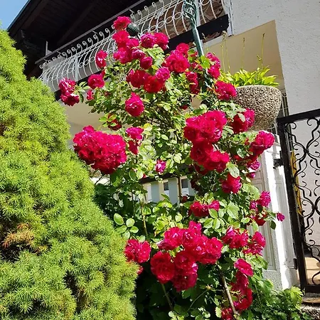 شقة فندقية Pan Haus