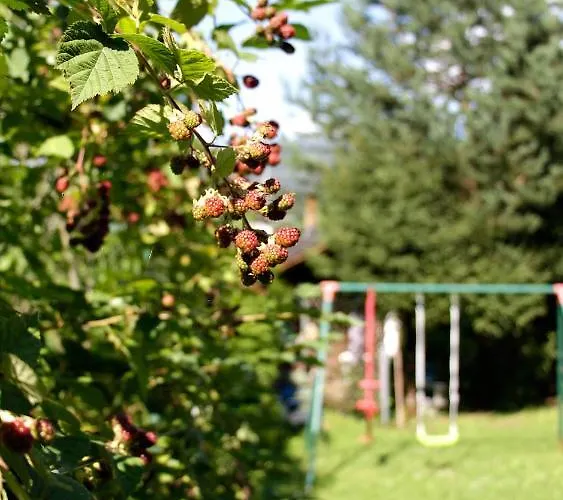 Pan Haus 3* Bad Ischl